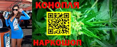 трава Новозыбков