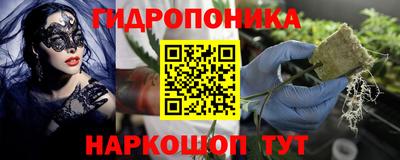 тгк Новокубанск