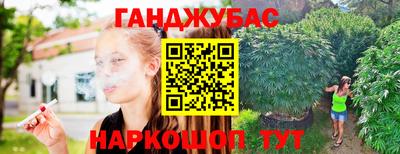гашик Новодвинск
