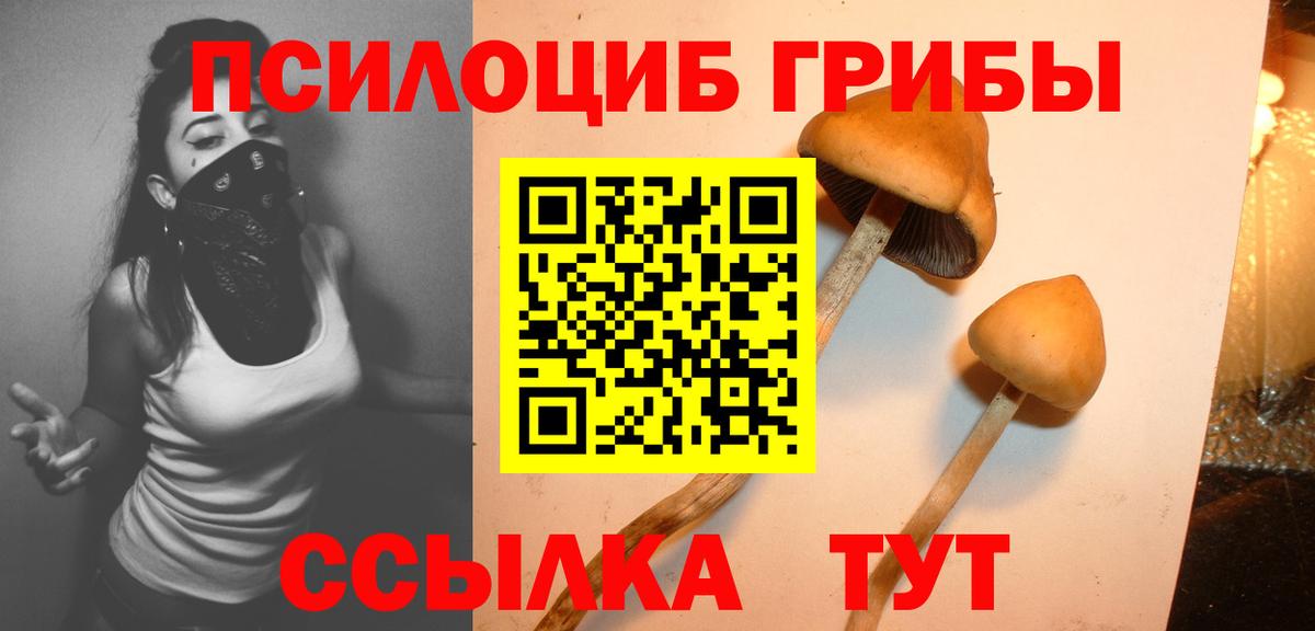 Псилоцибиновые грибы GOLDEN TEACHER Соль-Илецк